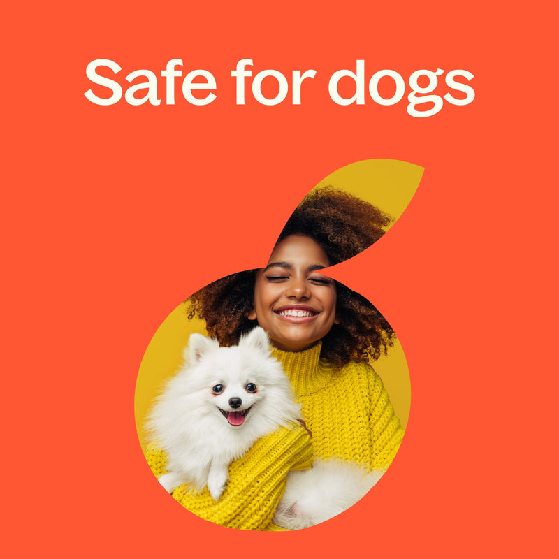 Plant Therapy Citrus Burst Essential Oil Blend Essential Oil