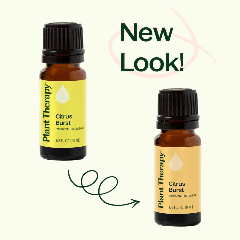 Plant Therapy Citrus Burst Essential Oil Blend Essential Oil
