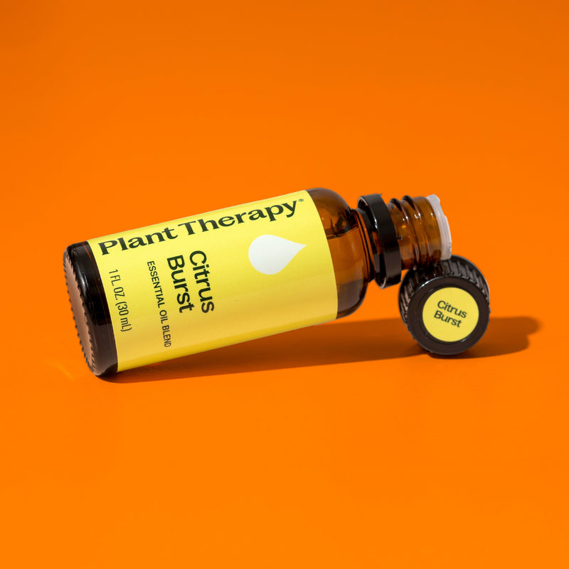 Plant Therapy Citrus Burst Essential Oil Blend Essential Oil