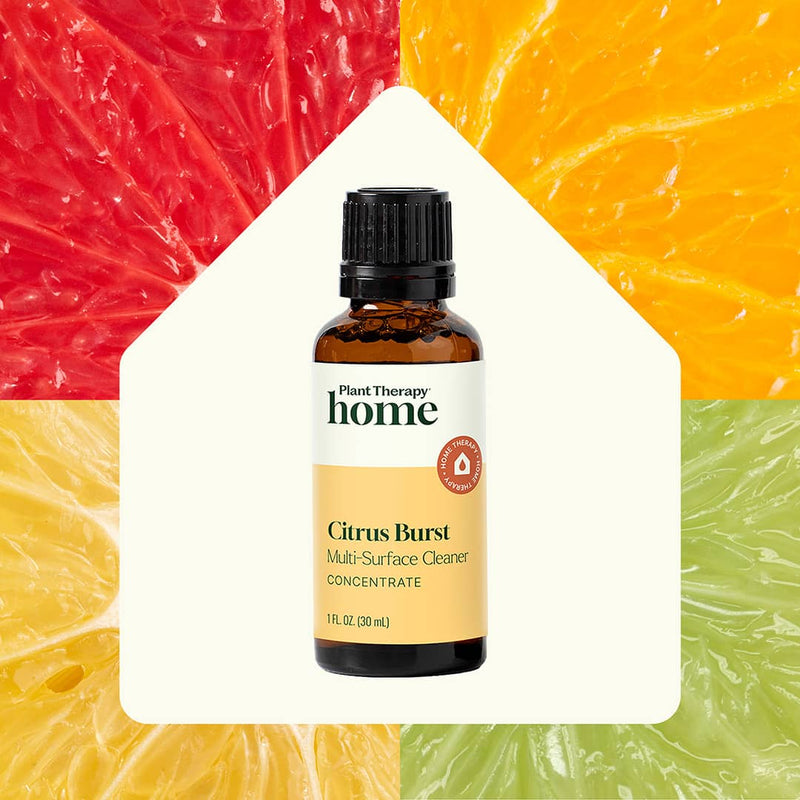 Plant Therapy Citrus Burst Multi-Surface Cleaner 2-Pack Household