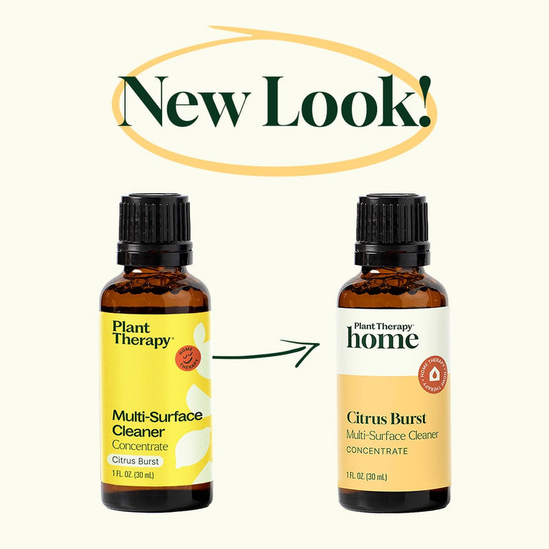 Plant Therapy Citrus Burst Multi-Surface Cleaner 2-Pack Household