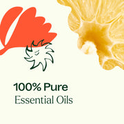 Plant Therapy Cleaning Duo: Citrus Burst + Chamomile Sleeve Household