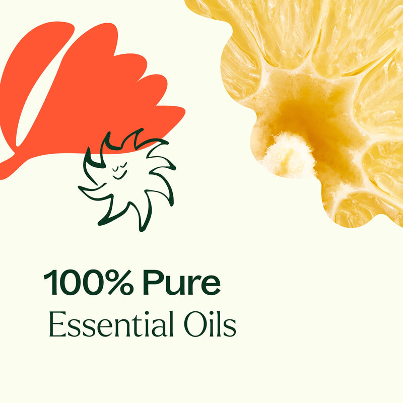 Plant Therapy Cleaning Duo: Citrus Burst + Chamomile Sleeve Household