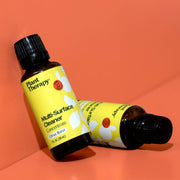 Plant Therapy Citrus Burst Multi-Surface Cleaner 2-Pack Household