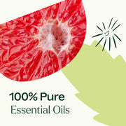 Plant Therapy Clarity Essential Oil Blend Essential Oil