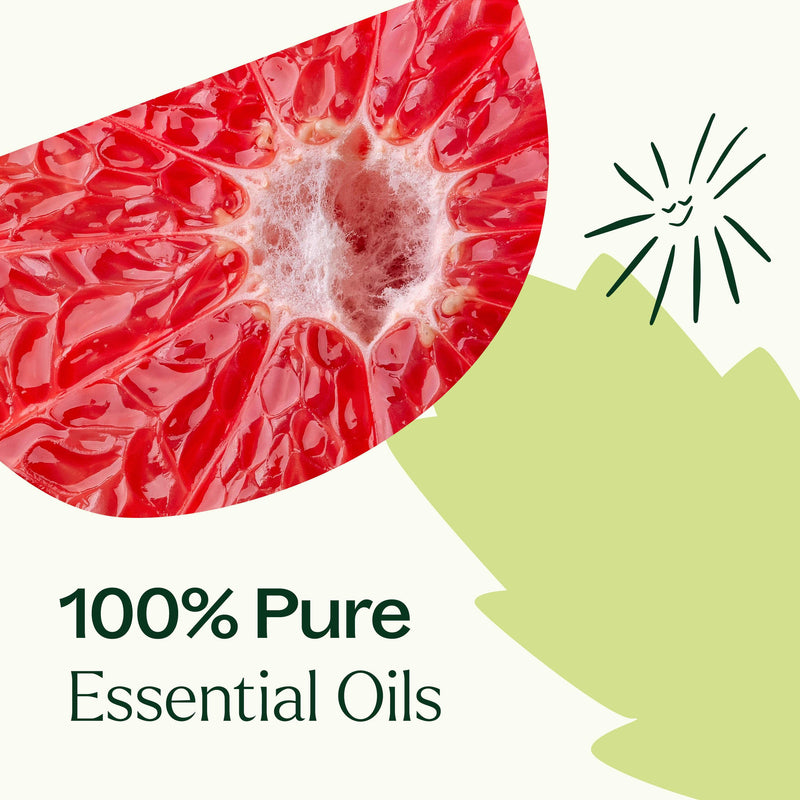 Plant Therapy Clarity Essential Oil Blend Essential Oil