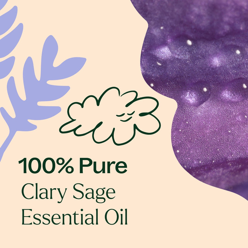 Plant Therapy Clary Sage Essential Oil Essential Oil