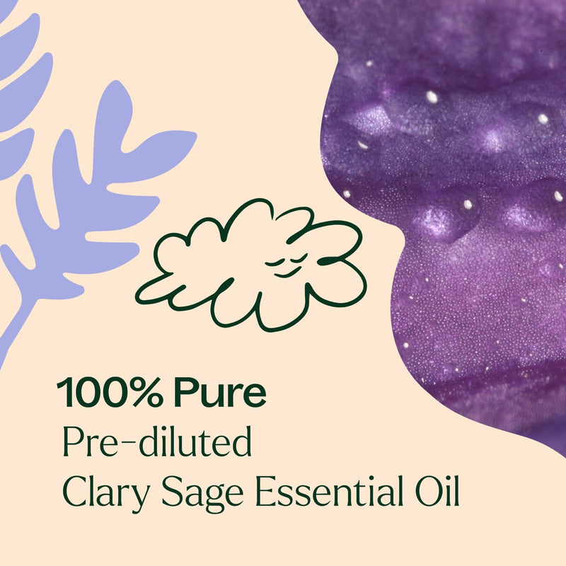 Plant Therapy Clary Sage Essential Oil Pre-Diluted Roll-On Essential Oil