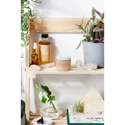 Butter Me Up Organics Anti Aging Night Cream Face Moisturizer Organic Green Tea Face