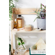 Butter Me Up Organics Clear Face Moisturizer / Face Cream Facial Moisturizer Organic Face