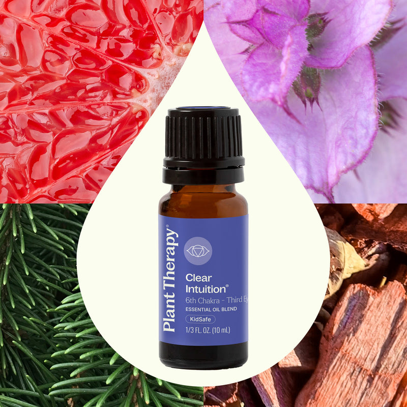 Plant Therapy Clear Intuition (Brow Chakra) Essential Oil 10 mL Essential Oil
