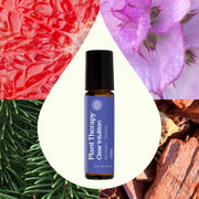 Plant Therapy Clear Intuition (Brow Chakra) Pre-Diluted Essential Oil Blend Roll-On 10 mL Essential Oil