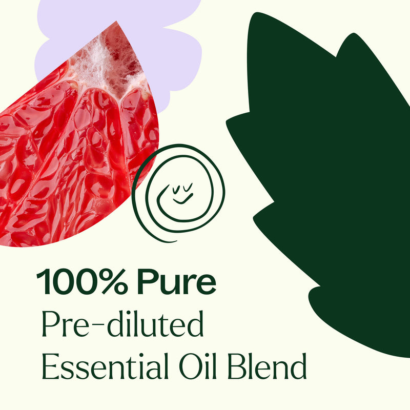 Plant Therapy Clear Intuition (Brow Chakra) Pre-Diluted Essential Oil Blend Roll-On 10 mL Essential Oil