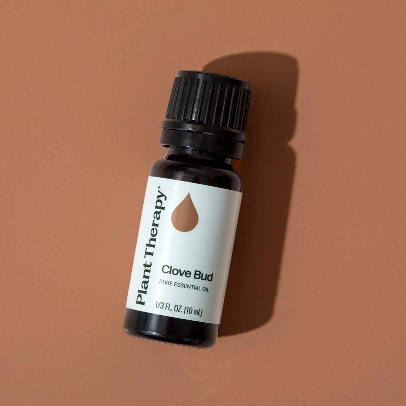 Plant Therapy Clove Bud Essential Oil Essential Oil