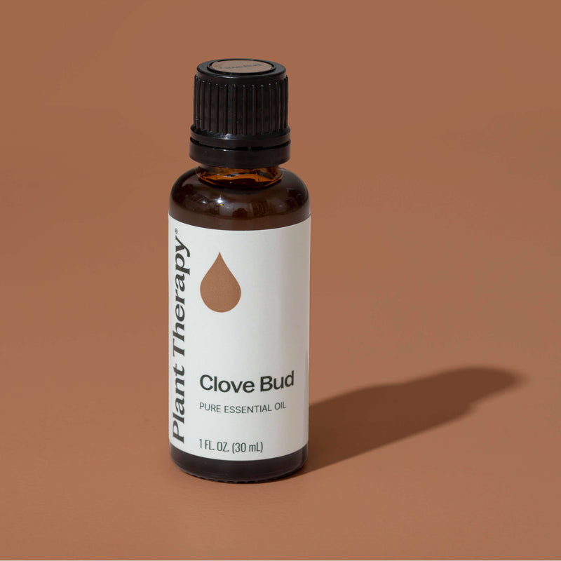 Plant Therapy Clove Bud Essential Oil Essential Oil Sienna 10 mL,30 mL,100 mL
