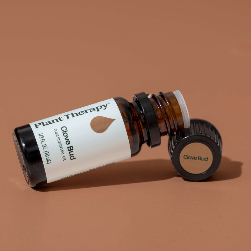 Plant Therapy Clove Bud Essential Oil Essential Oil Sienna 10 mL,30 mL,100 mL
