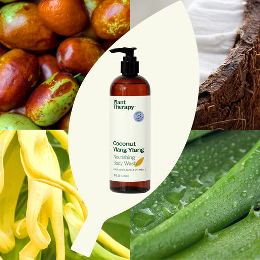 Plant Therapy Coconut Ylang Ylang Body Wash Body Care