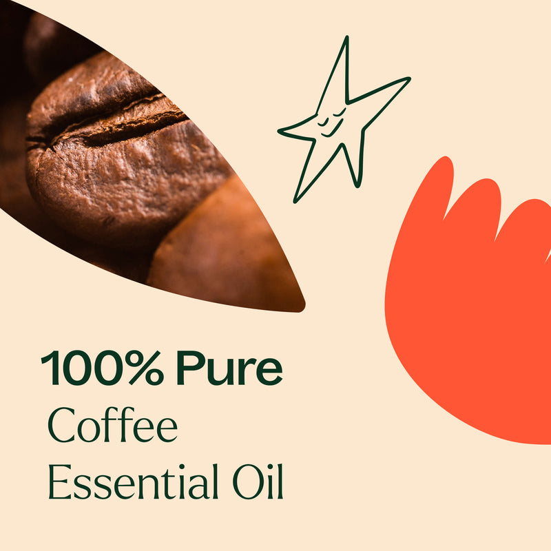 Plant Therapy Coffee Essential Oil Essential Oil