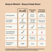 Root'd Essential Prenatal Nutrition + Electrolytes Prenatal