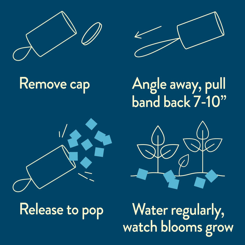 Modern Sprout Seed Confetti Popper Playful Planting