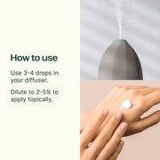 Plant Therapy Copaiba Oleoresin Essential Oil Seashell 10 mL,30 mL