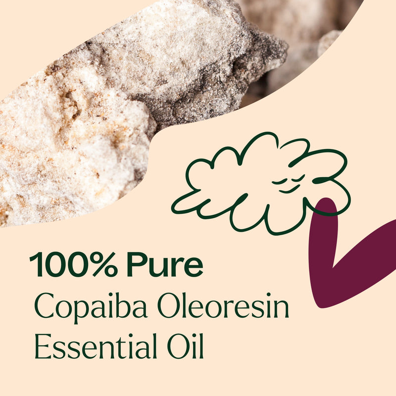 Plant Therapy Copaiba Oleoresin Essential Oil