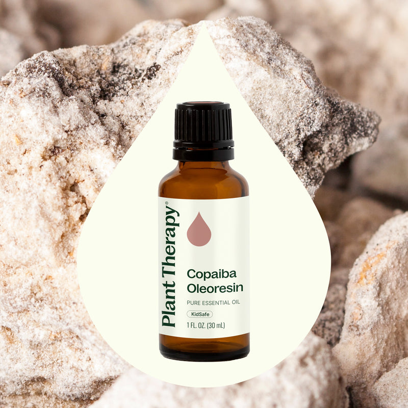 Plant Therapy Copaiba Oleoresin Essential Oil