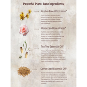 MION Artisan Soap Co. Face Toner | Correcting & Balancing pH