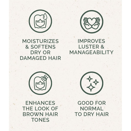 Chagrin Valley Soap & Salve Shampoo Bar: Cafe Moreno Shampoo Bar