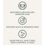 Chagrin Valley Soap & Salve Shampoo Bar: Coconut Milk Shampoo Bar