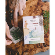 Juniper Ridge Douglas Fir + Rosehips Botanical Tea 3-Pack Tea