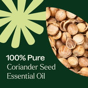 Plant Therapy Coriander Seed Essential Oil Essential Oil