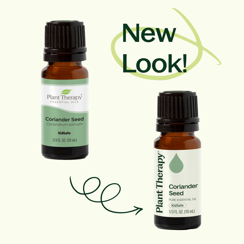 Plant Therapy Coriander Seed Essential Oil Essential Oil