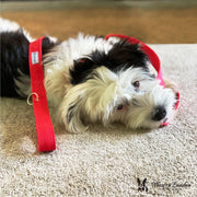 Warren London Fabric Dog Leash - Red Leashes, Collars & Accessories