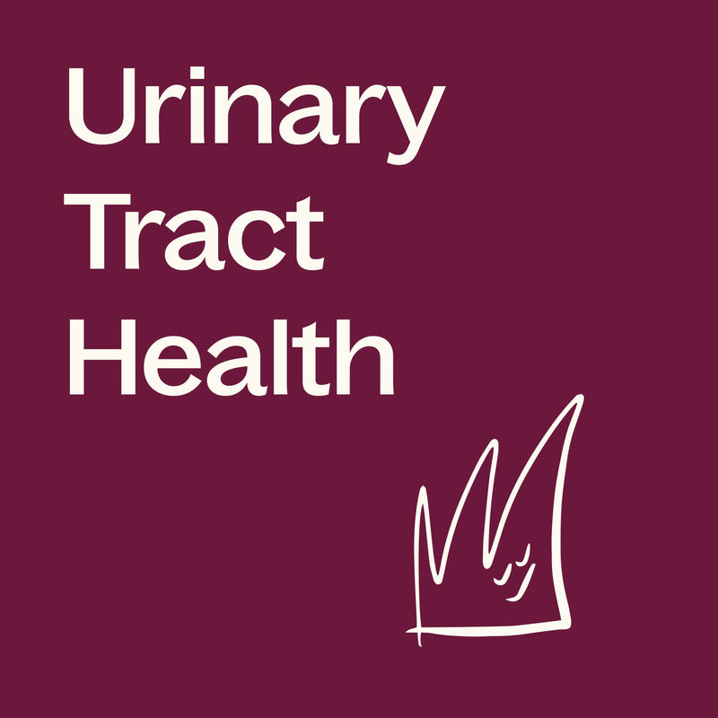 Plant Therapy Cranberry with Vitamin C Herbal Supplement - 120 Capsules Supplement