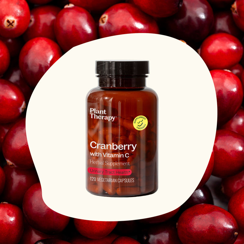 Plant Therapy Cranberry with Vitamin C Herbal Supplement - 120 Capsules Supplement