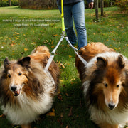 WACKYstore CRAZYcoupl'r - 2 Dogs on 1 Leash