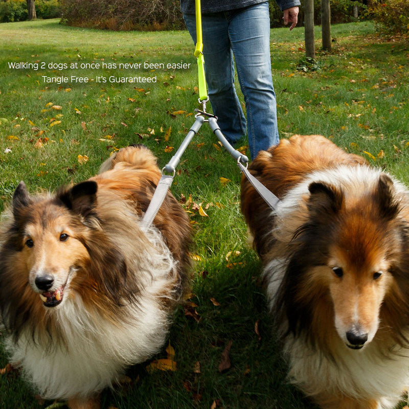 WACKYstore CRAZYcoupl'r - 2 Dogs on 1 Leash