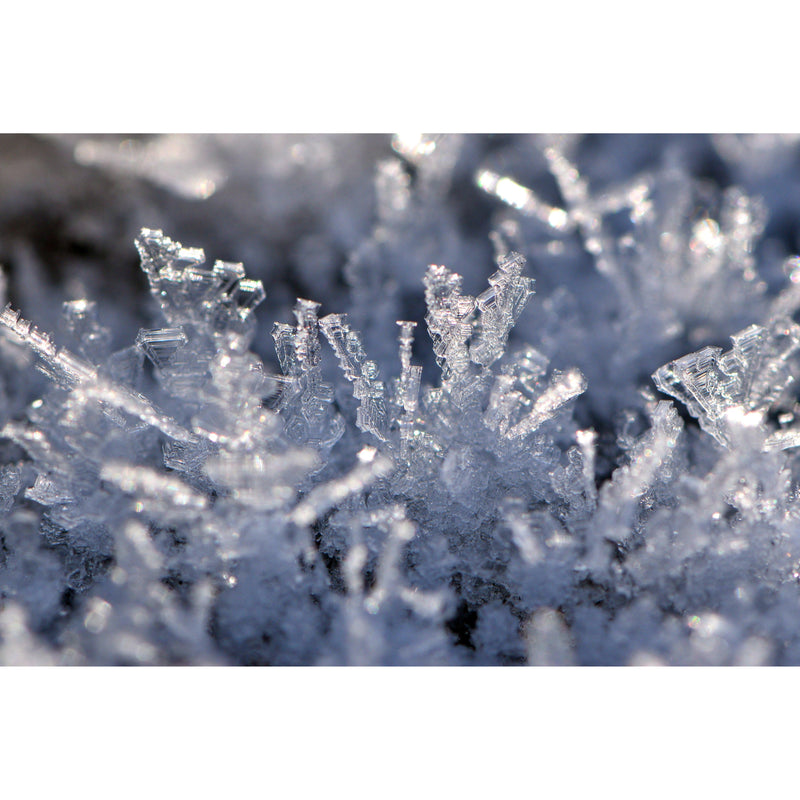 Bio Jouvance Paris Consumer Cryo Firming Ampoules (frozen) Wholesale