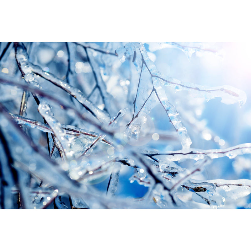 Bio Jouvance Paris Consumer Cryo Moisturizing Ampoules Wholesale