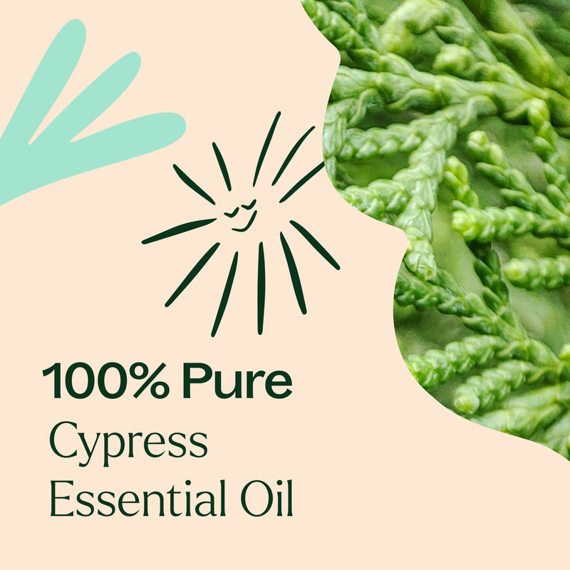 Plant Therapy Cypress Essential Oil Essential Oil Antique White 10 mL,30 mL