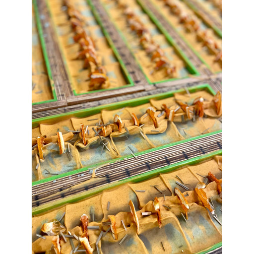 MION Artisan Soap Co. Lemongrass & Orange Tea | Cocoa Butter Soap