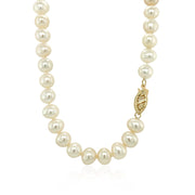 Bids.com 14k Yellow Gold Necklace with White Freshwater Cultured Pearls (6.0mm to 6.5mm) Necklaces