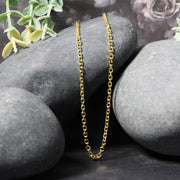 Bids.com 2.3mm 14k Yellow Gold Diamond Cut Cable Link Chain Necklaces
