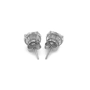 Bids.com 14k White Gold 8.0mm Round CZ Stud Earrings Earrings