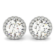 Bids.com 14k White Gold Round Prong Halo Style Earrings (1 cttw) Earrings