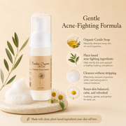 Timeless Organics Skin Care Foaming Acne Cleanser Cleanser Bisque