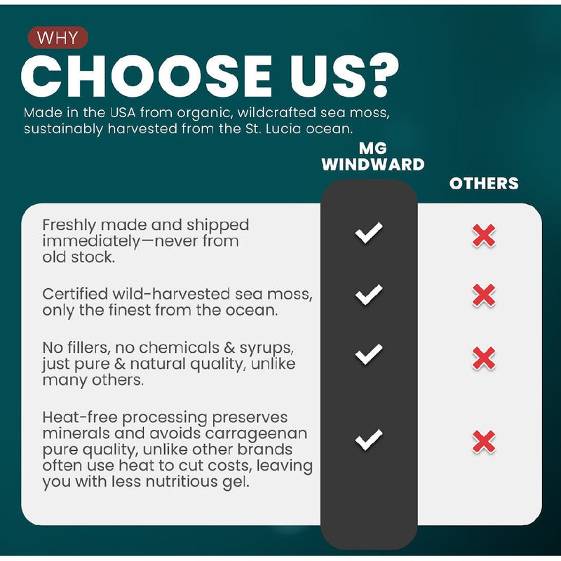 MG Windward Trading LLC Bee Pollen Infused Organic Sea Moss Gel Herbal Gel