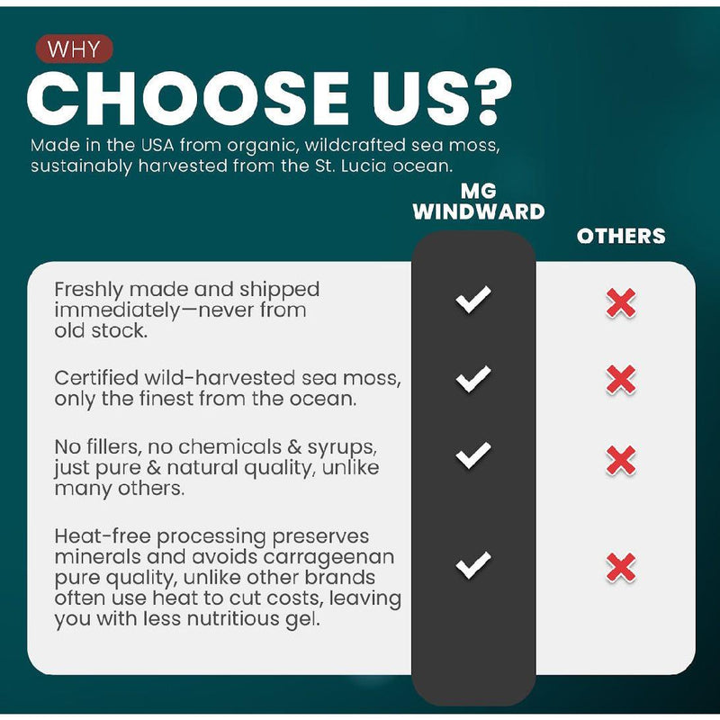 MG Windward Trading LLC Organic Mega Mushroom Infused Sea Moss Gel Herbal Gel