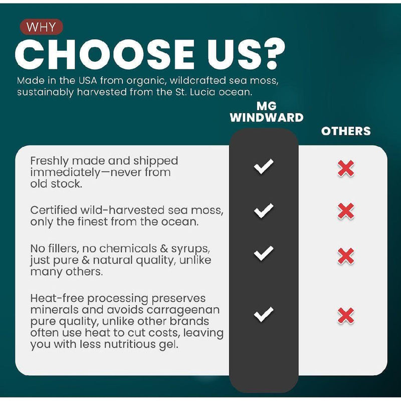 MG Windward Trading LLC Blue Spirulina Infused Organic Sea Moss Gel Herbal Gel